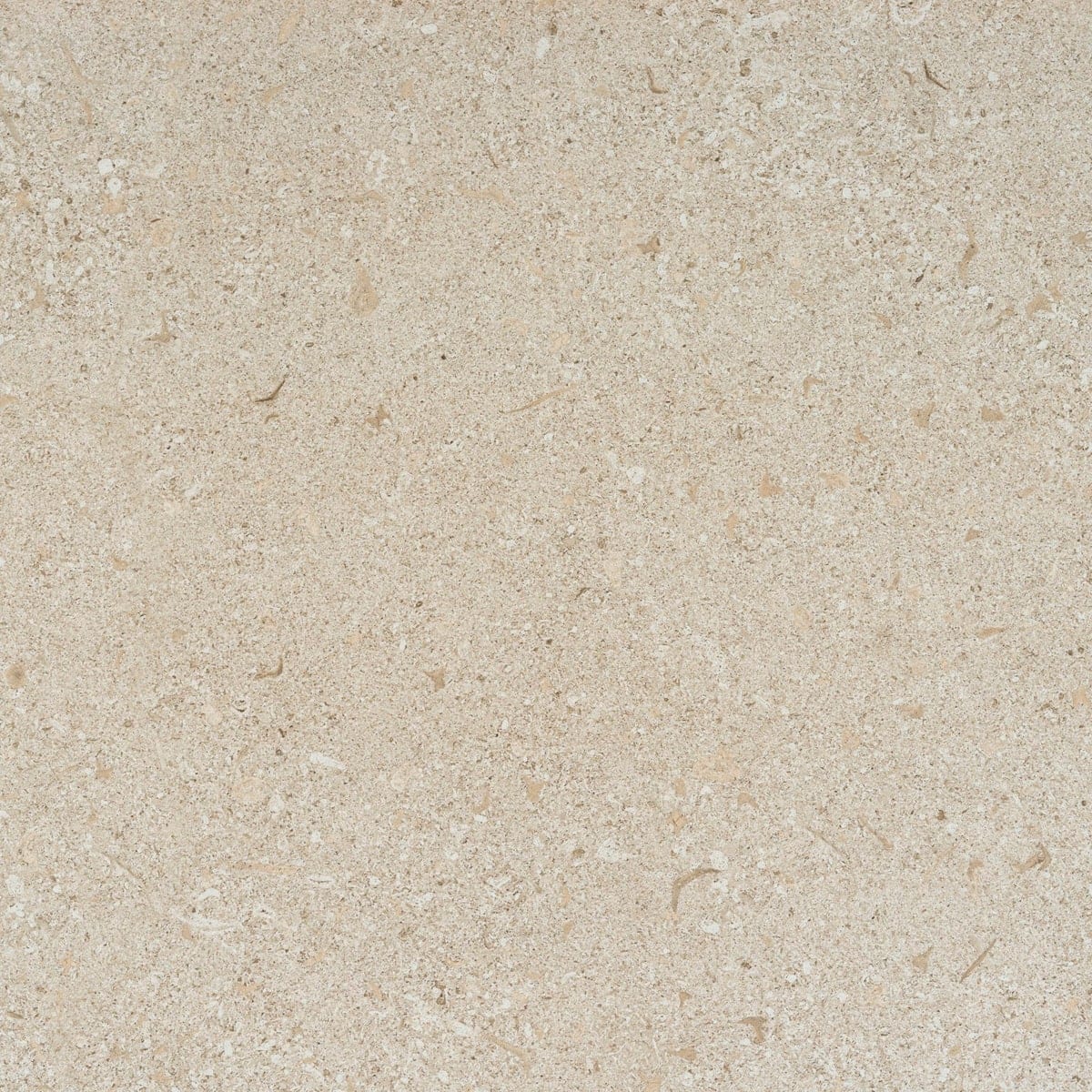 Cosentino Dekton Avorio