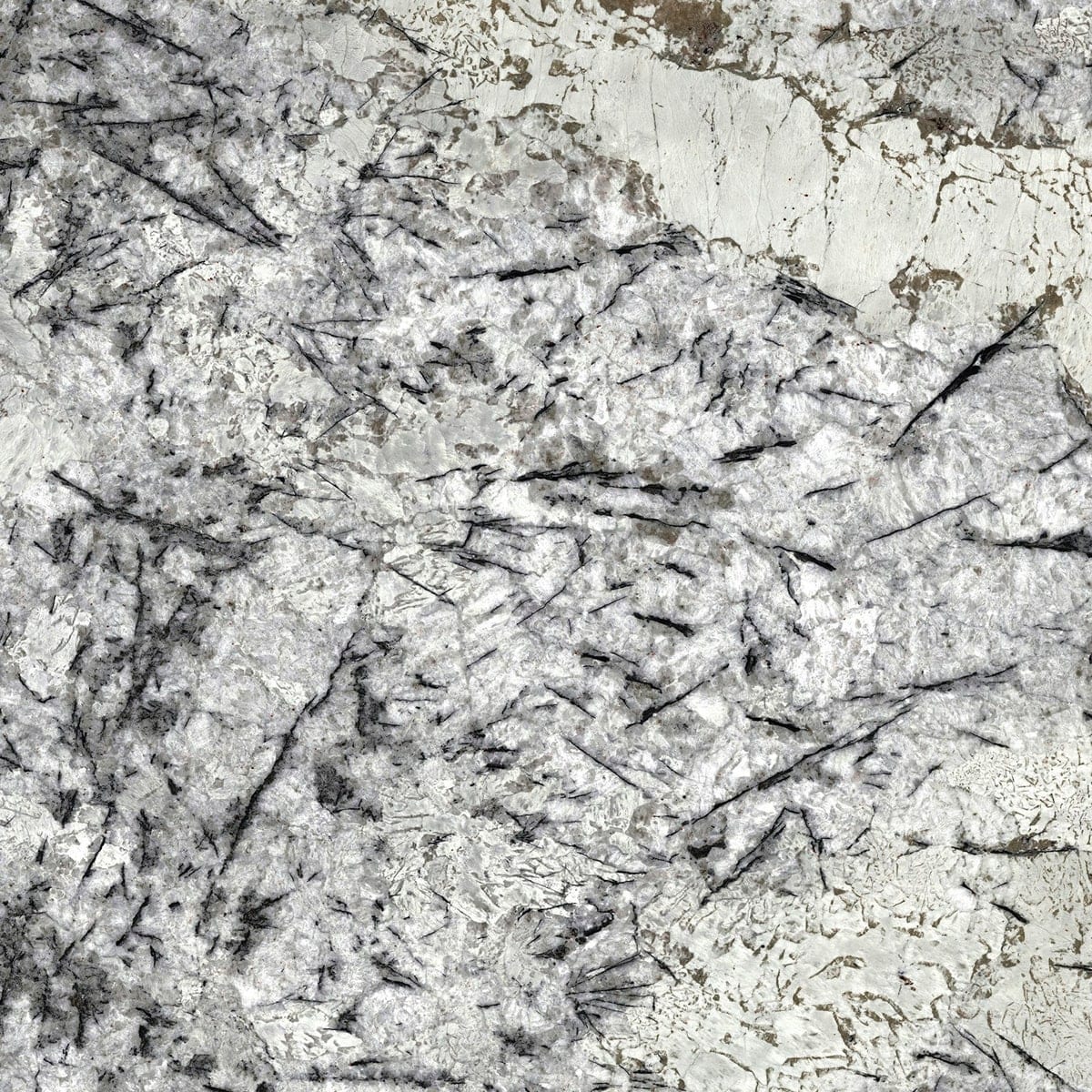 Cosentino Sensa Ice Blue19