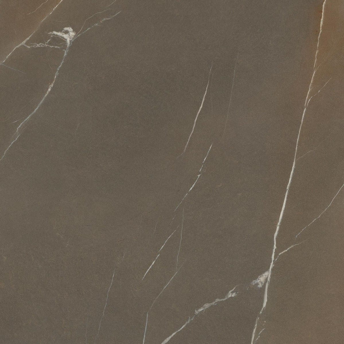 Laminam In Side Pietra Piasentina Taupe