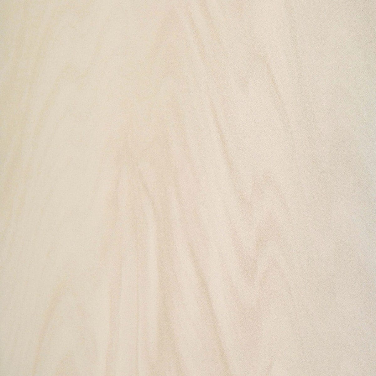 Neolith Arena