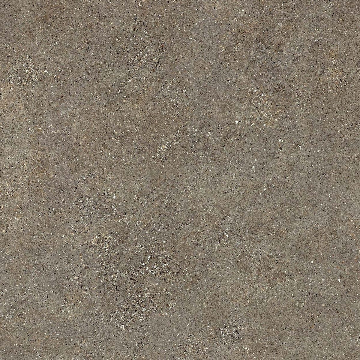 Neolith Fusion Wulong